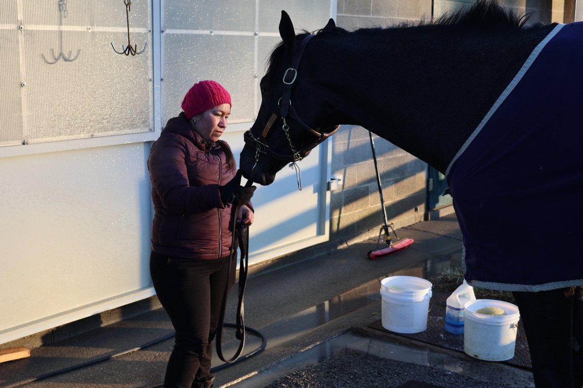 Brissetracing's tweet photo. Wrapping up Women’s History Month with a special #TeamTuesday 👏

We are so grateful for the incredible women on our team whose hard work and dedication make a difference every day. 💙🐎 https://t.co/gpN2f7YzOD