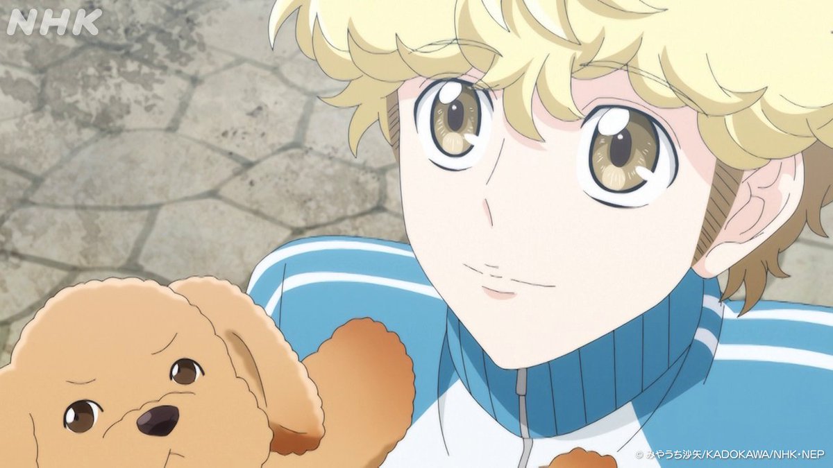 NHKアニメ tweet media