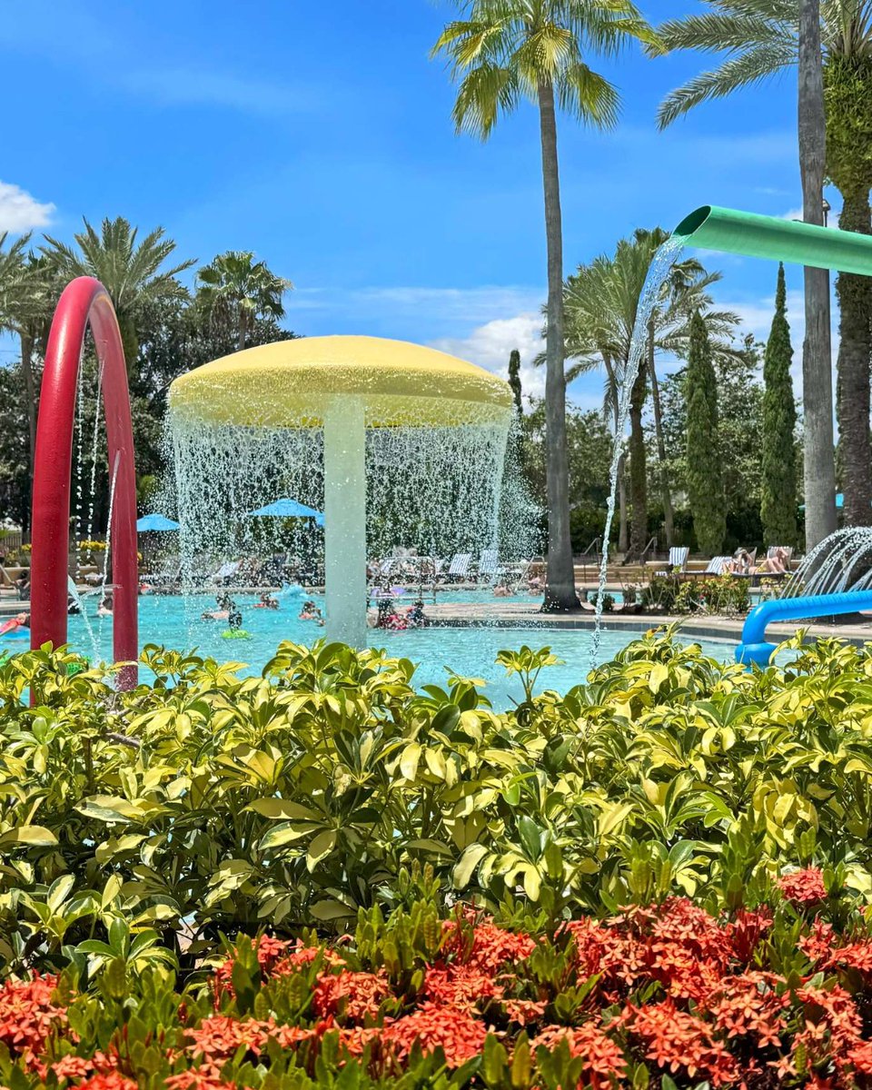 Floridays Resort tweet media