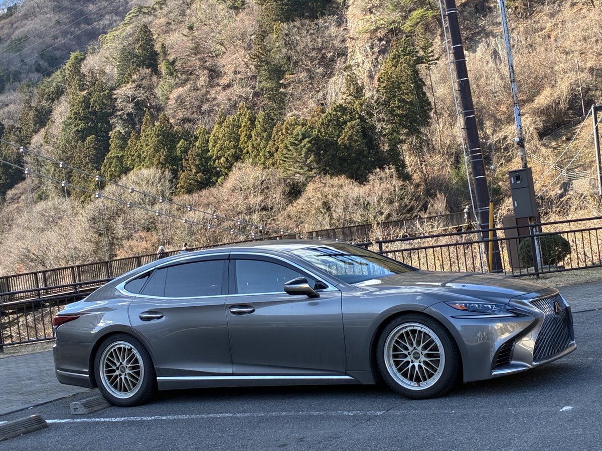 ブイ蜂 tweet media