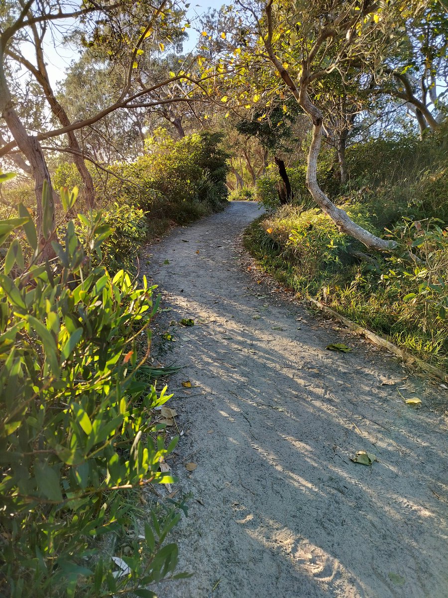 MillingtonSally's tweet photo. Morning 5km run 
Lovely loop around the bay. Following the path through the trees, spotting a pelican out for breakfast, and loving the views across the water. 
#PortStephens #Running #Australia https://t.co/QAm2WSVQ3G