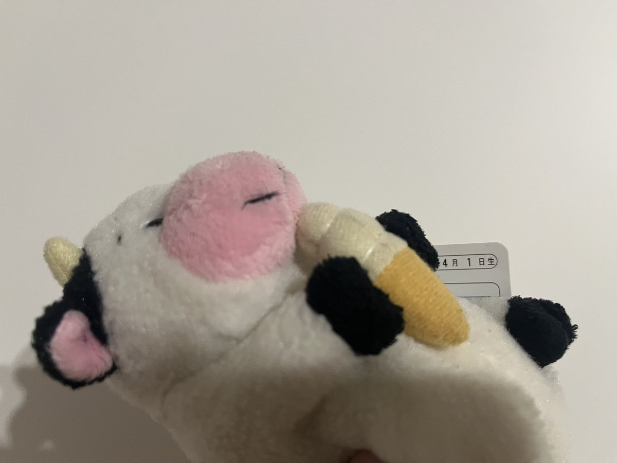 いつも仲良くしてくださる皆さまへ
本日、ﾇｼの誕生日ですﾓ🐮🎉🎂
エイプリールフールなので
信じるかどうかは自由ですﾓ。祝うのも自由度高めですﾓ🐮

#ぬいぐるみ #ぬい撮り #エイプリールフール #新年度 #誕生日