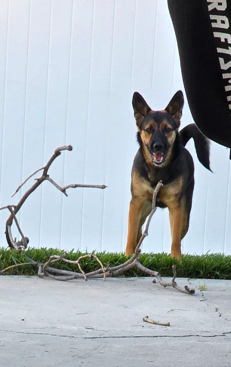 Susan♀️🇺🇦 tweet media