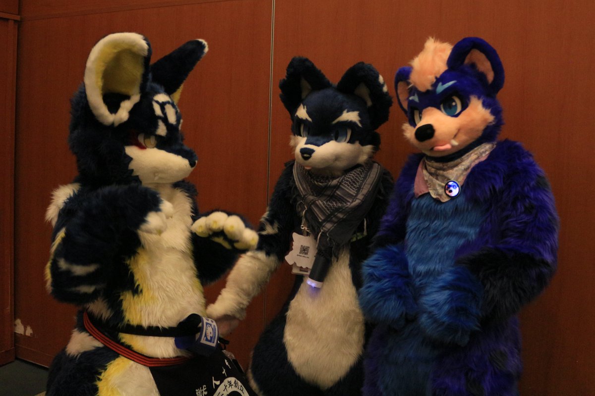 是政　KOREMASA tweet media