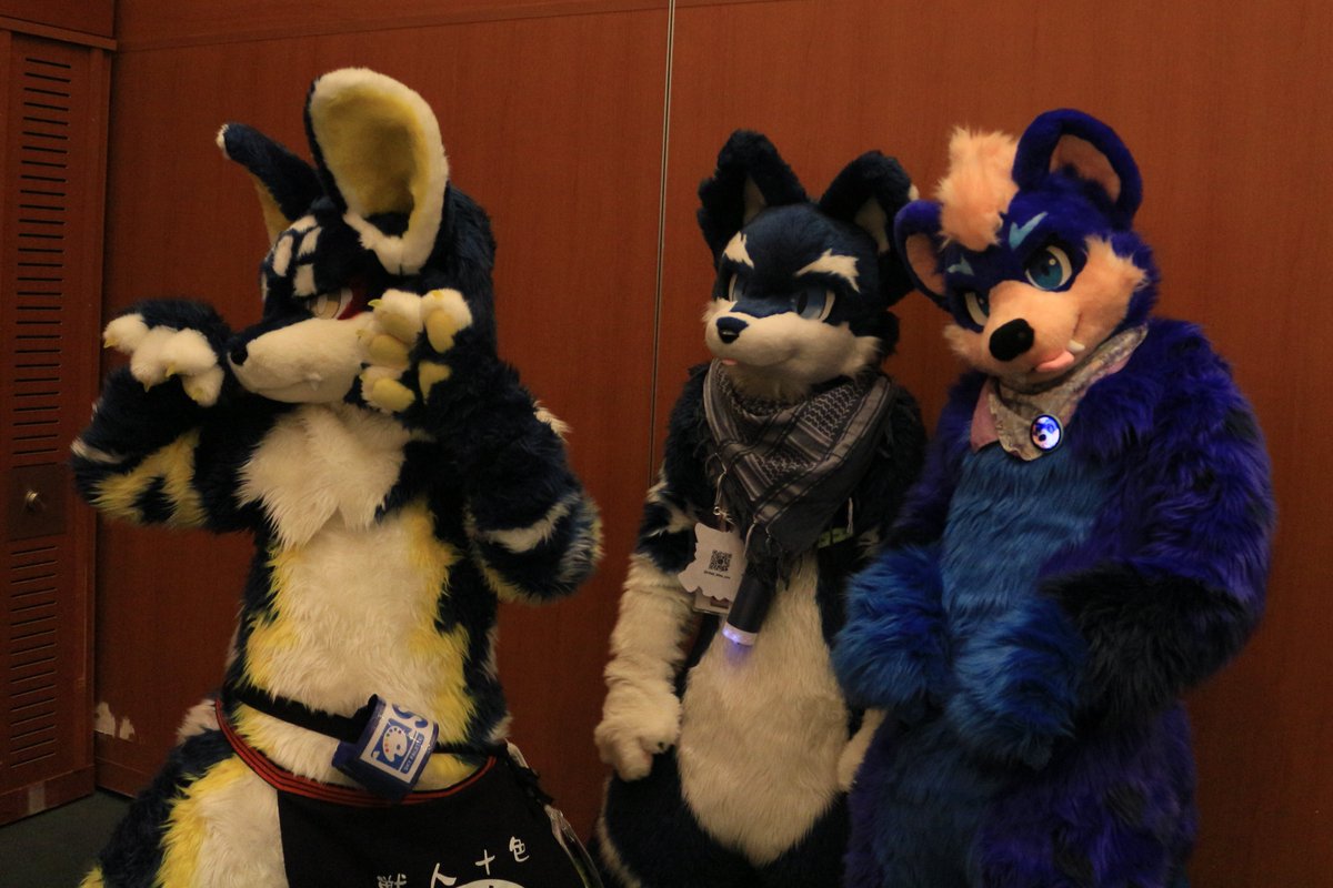 是政　KOREMASA tweet media