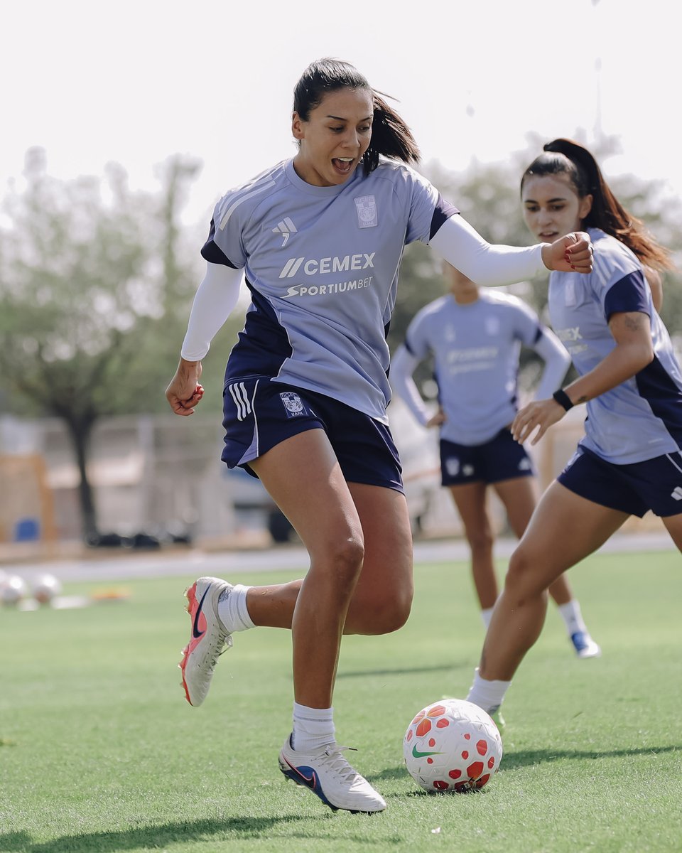 Club Tigres Femenil 🐯 tweet media