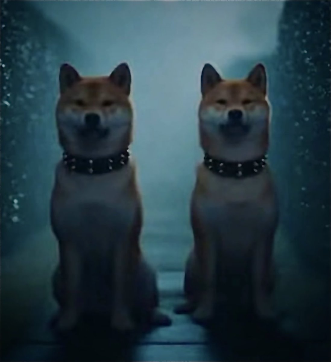 dist_agent_lang's tweet image. Vibes live on in agentic. 
#runtime #prototype 🪩