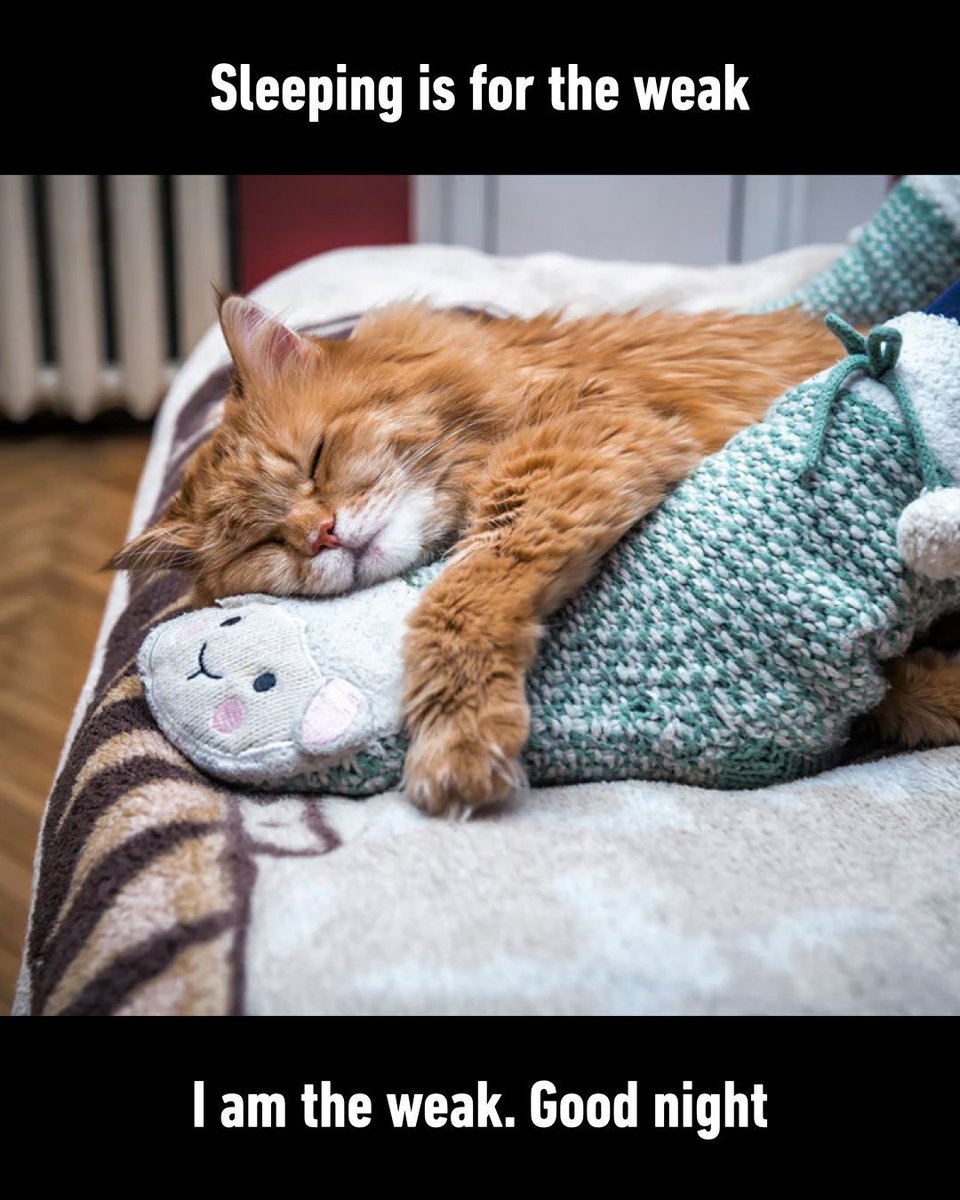 9GAG's tweet photo. 😴 https://t.co/SLl8rfPFKf