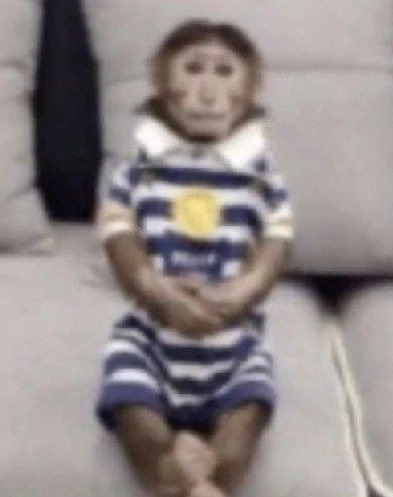 ольга ванибовна tweet media