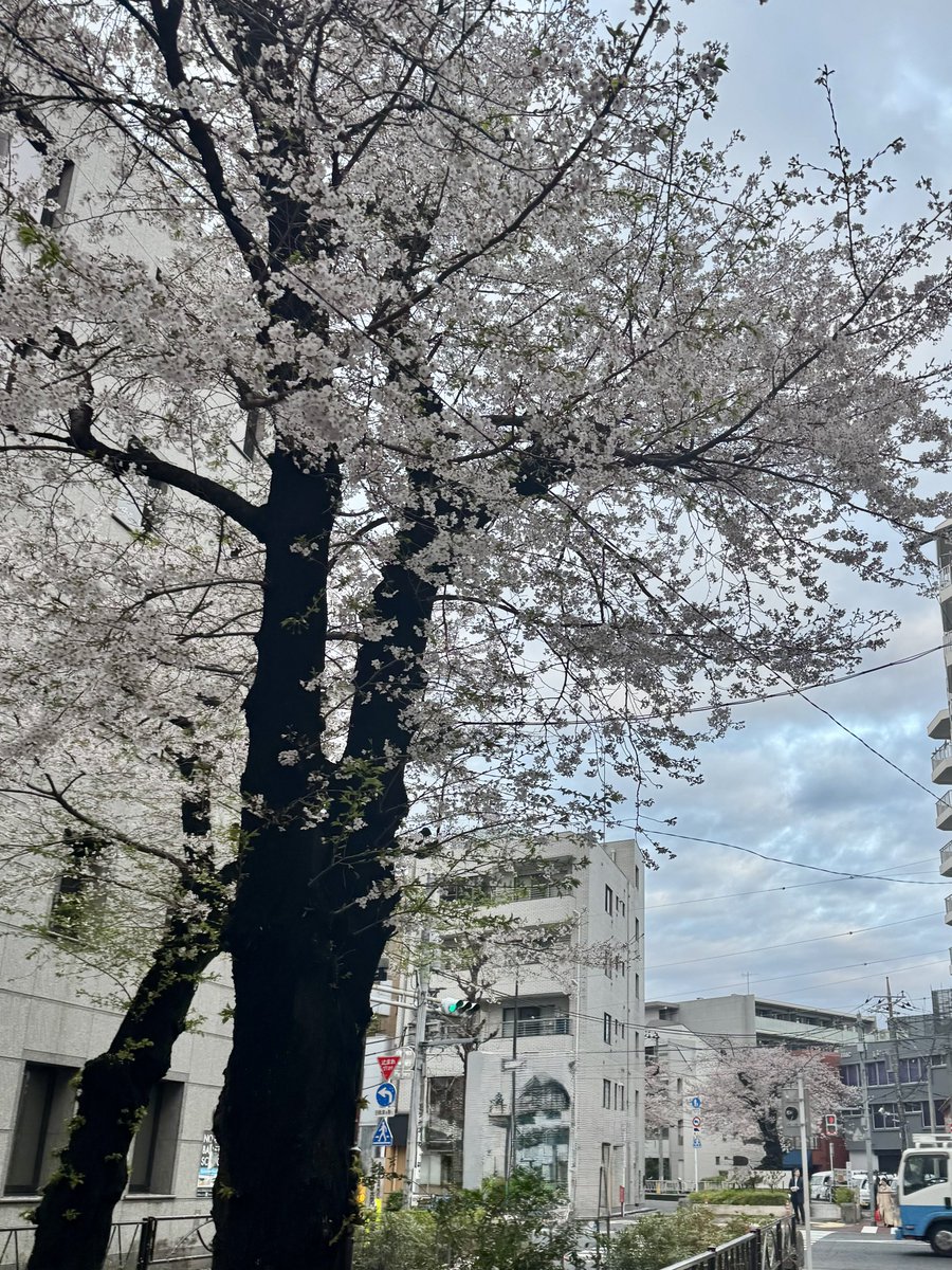 CHAI9071's tweet photo. 新年度🙅‍♂️
頑張りましょう https://t.co/LfXo2IjgZc
