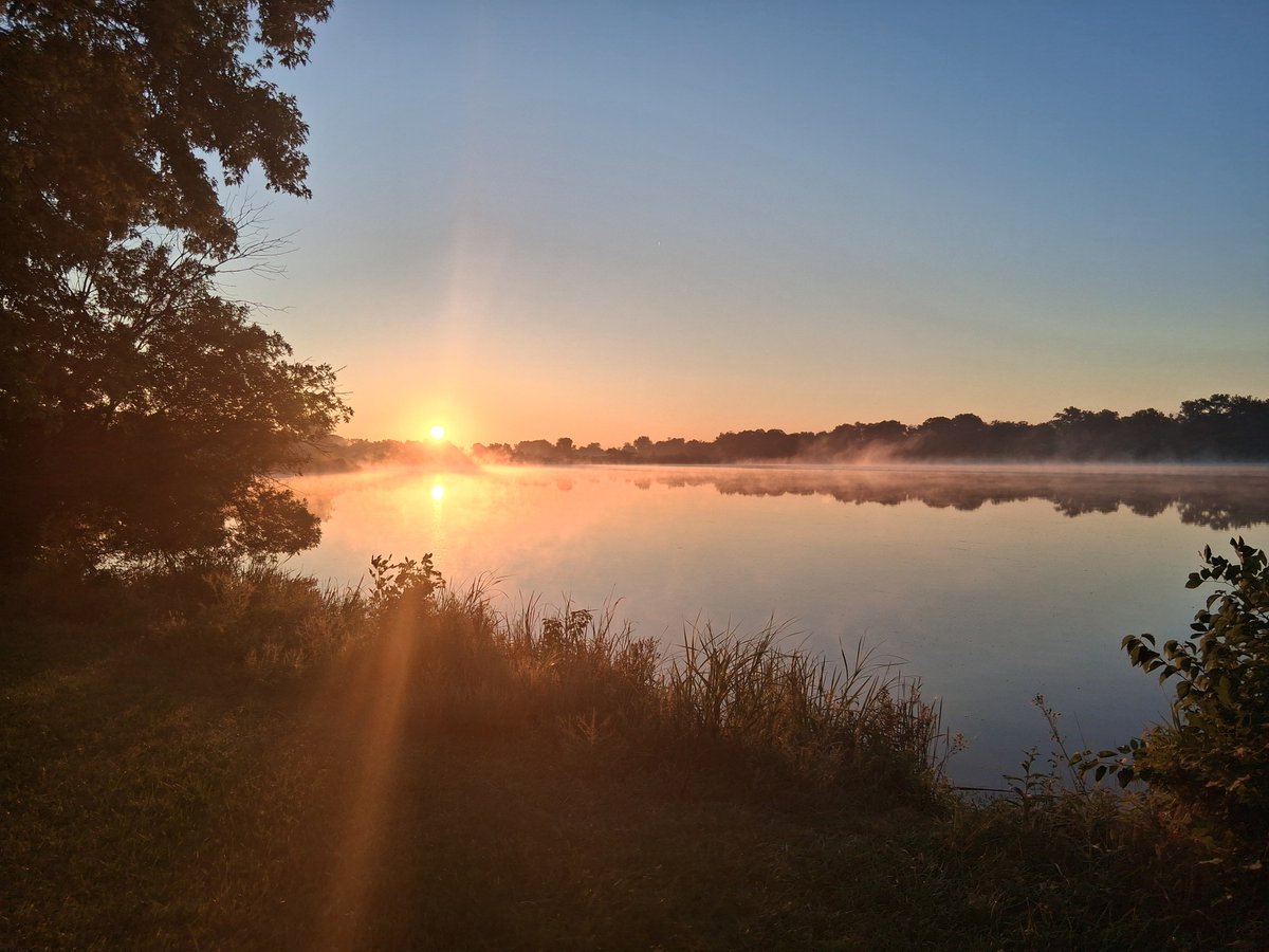 IrishPanzer1916 tweet media