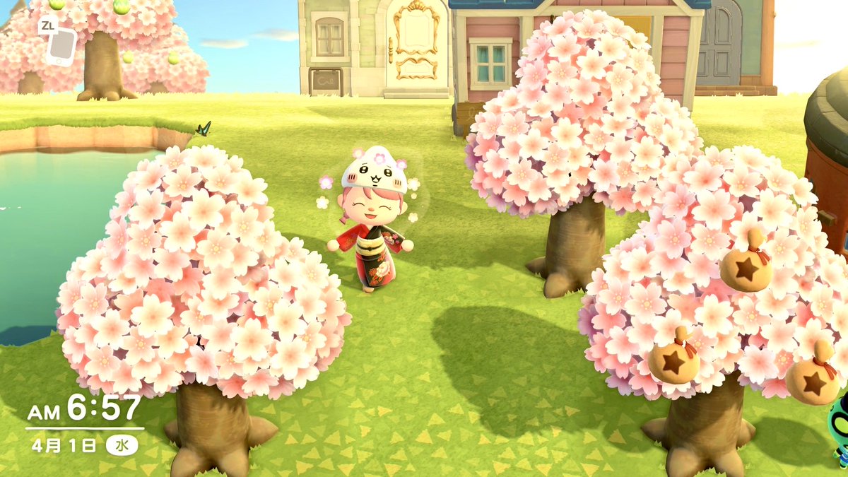 バレエダンサーおもも🍑ラムネ推し🌳 tweet media