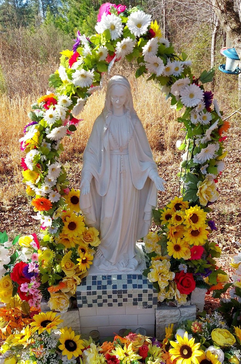 Pray The Rosary tweet media