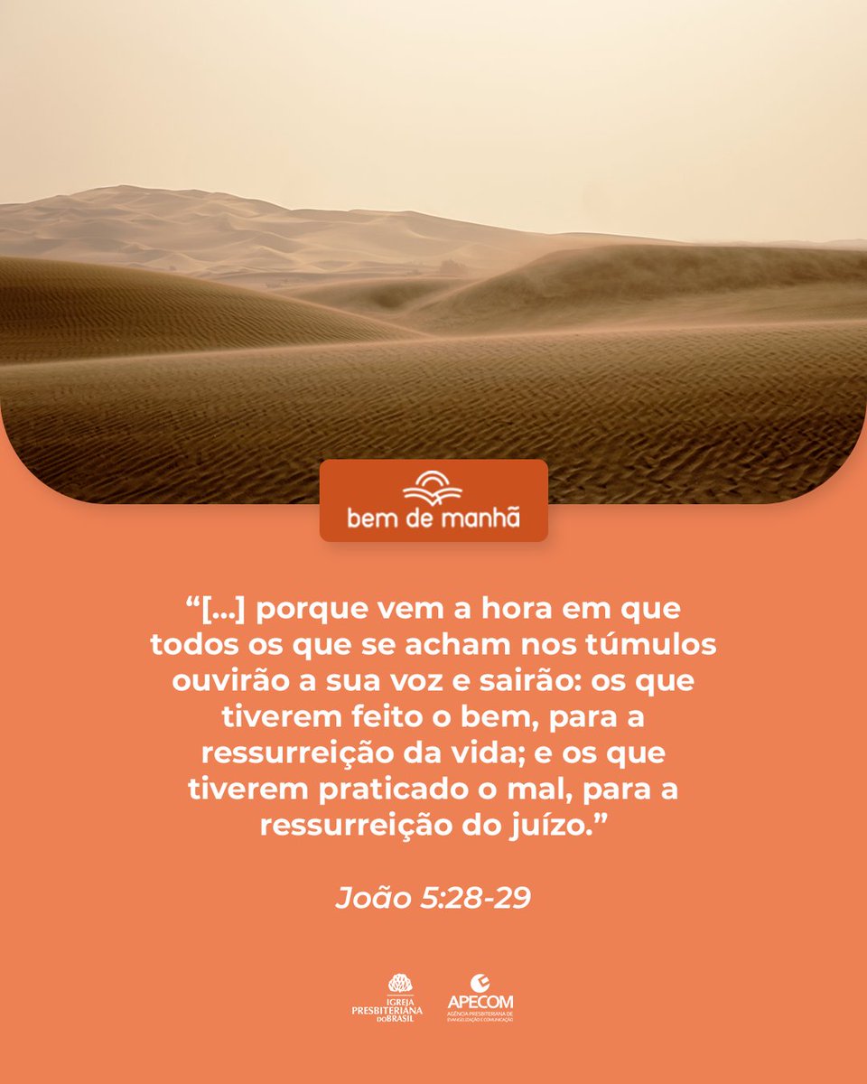 Bem de Manhã: Comece o dia meditando na sabedoria de Deus.

“[...] porque vem a hora em que todos os que se acham nos túmulos ouvirão a sua voz e sairão [...]”

João 5:28,29