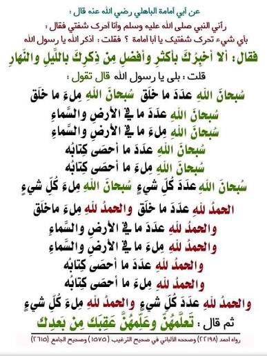 فيروز tweet media