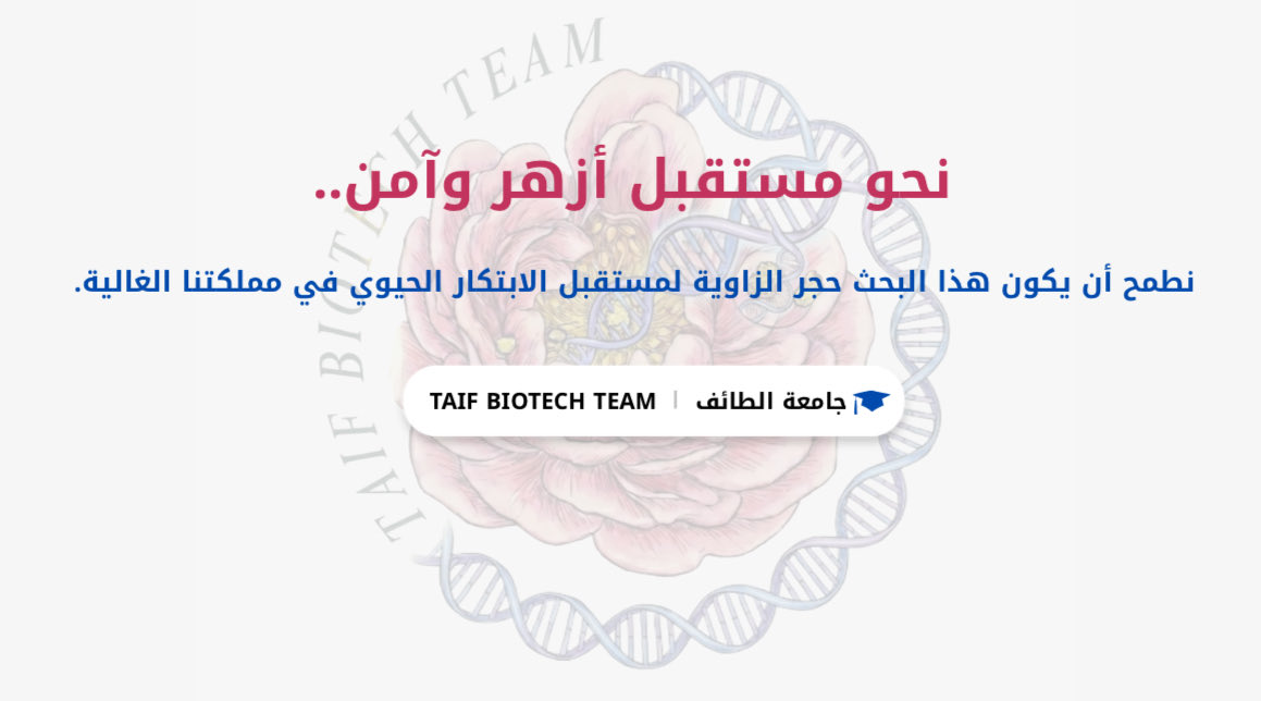 بـتـول 🧬 tweet media