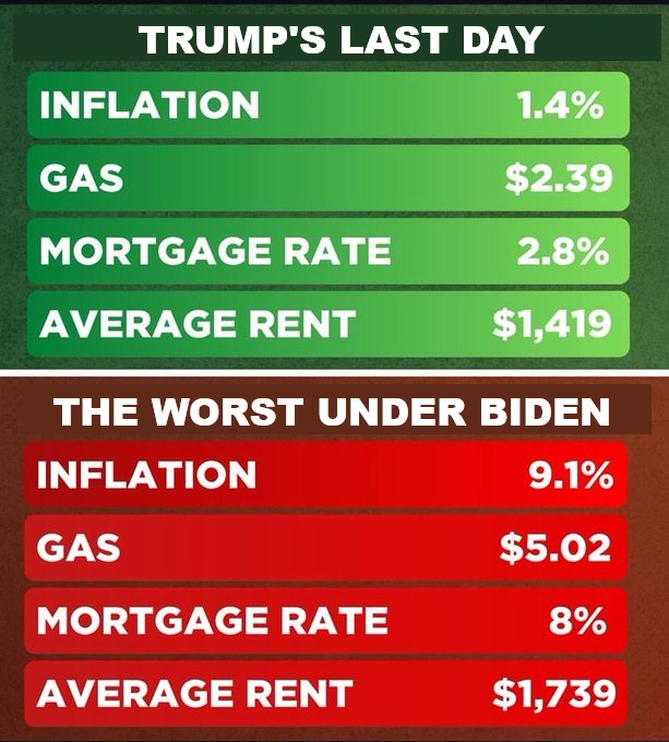 🇺🇸 Liberals Are Stupid AF 🇺🇸 tweet media