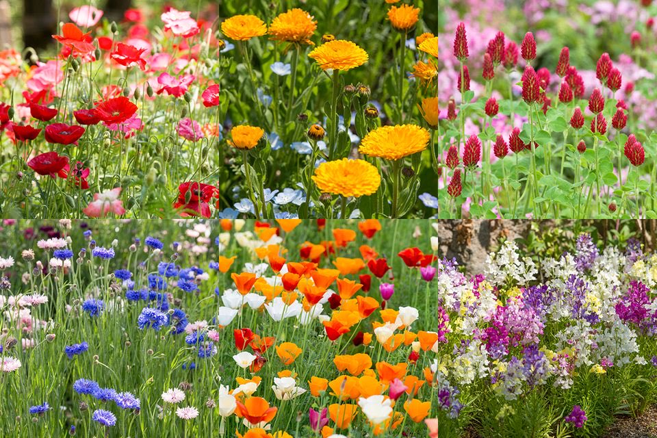 菊池純子 tweet media