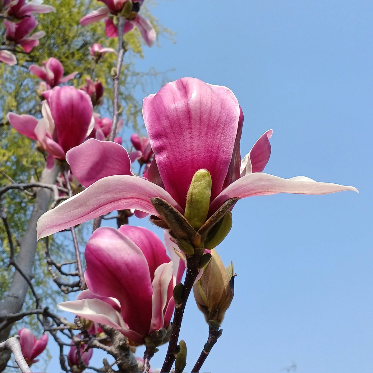 TAMOぞう tweet media