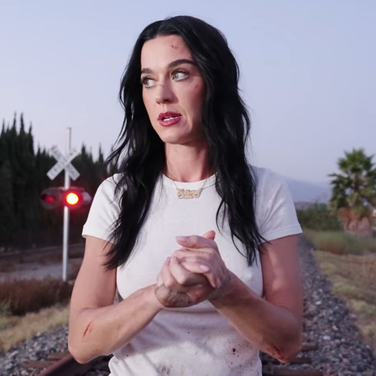 Perry's Pulse tweet media