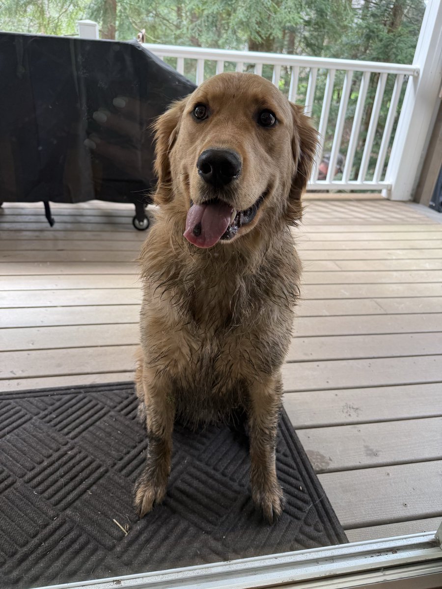 ChanceTheGolden tweet media
