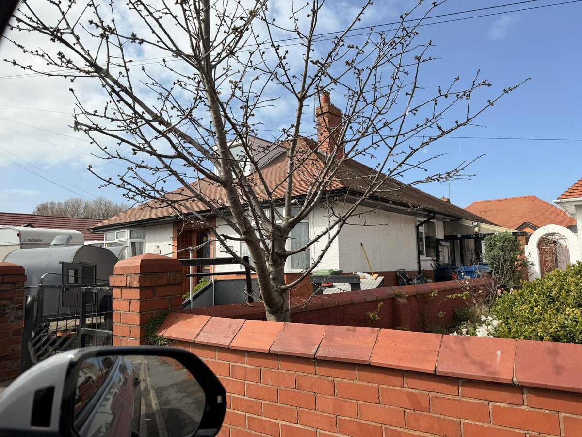 Adam Dandy tweet media