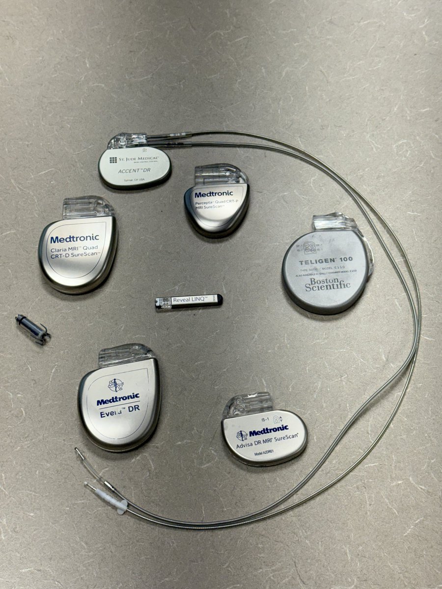 Stephen Chapin tweet media