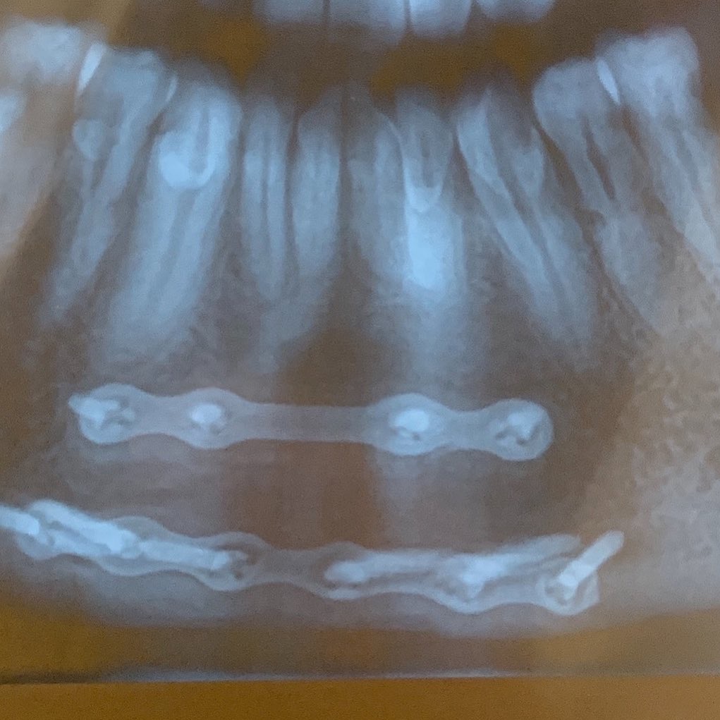 🚨MOTORISTA DA XTINA!🚨 tweet media