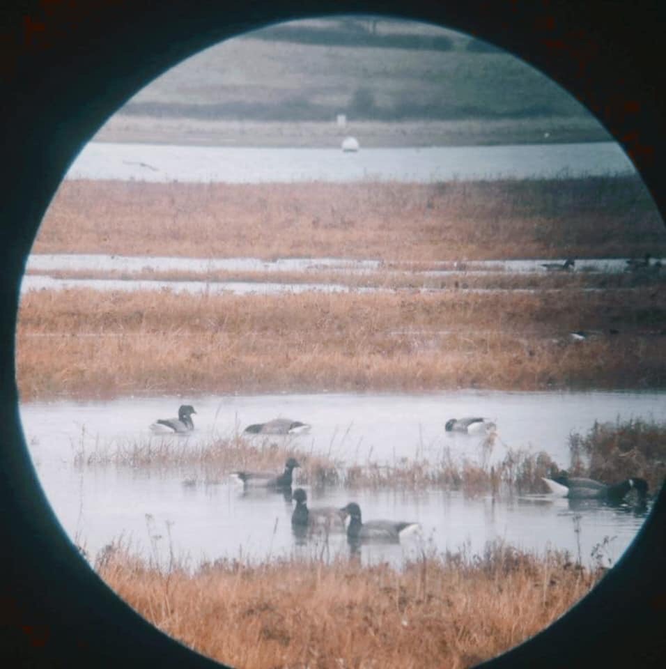 당신의 곁에 우주를 가져오는 사이프⭐ tweet media