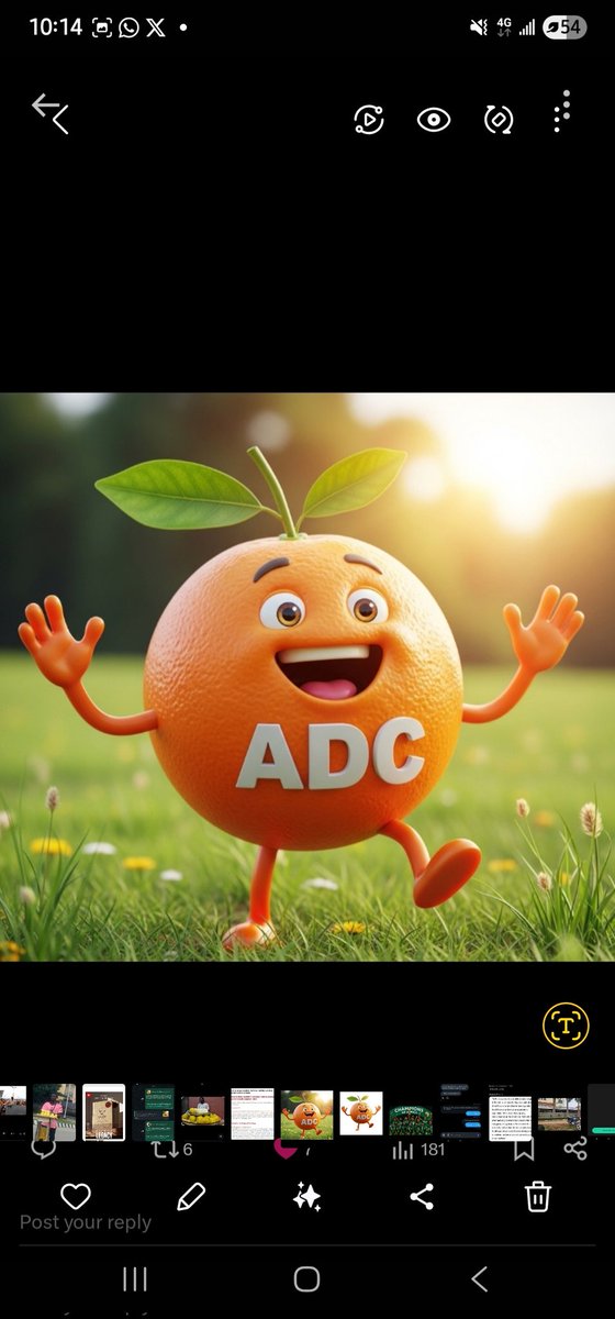 MrsNoor_Maryam Ismaila 💍 tweet media