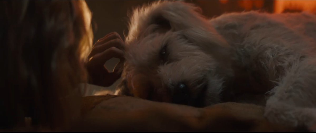 Cinemagic tweet media