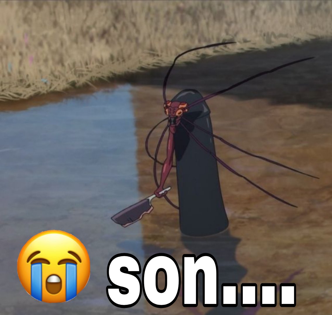 遅いWIFI™ tweet media