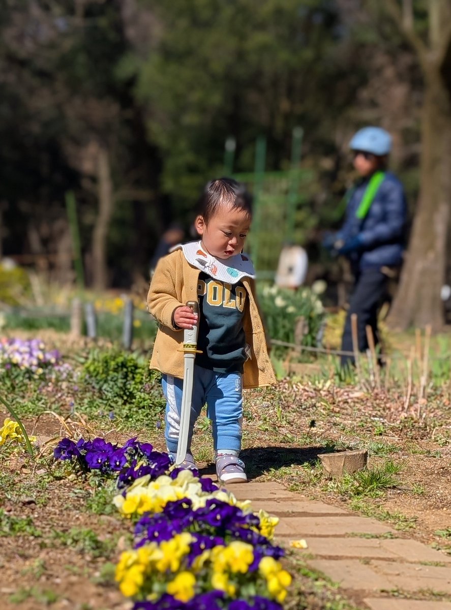 海外の友人たちへ
日本のすべての子どもは、サムライになるため幼い頃から刀を持って生活します。まだ未熟なので、うっかり切られないよう、来日時は気をつけてください
#エイプリルフール