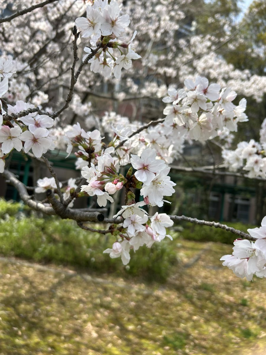 katy1953 （♂🇯🇵政治に興味を🇯🇵） tweet media