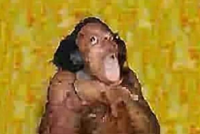 Eiskaltmann tweet media