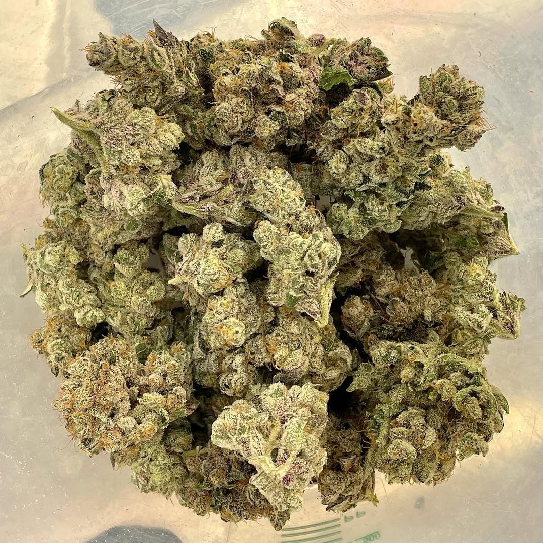 GrowLoKey tweet media