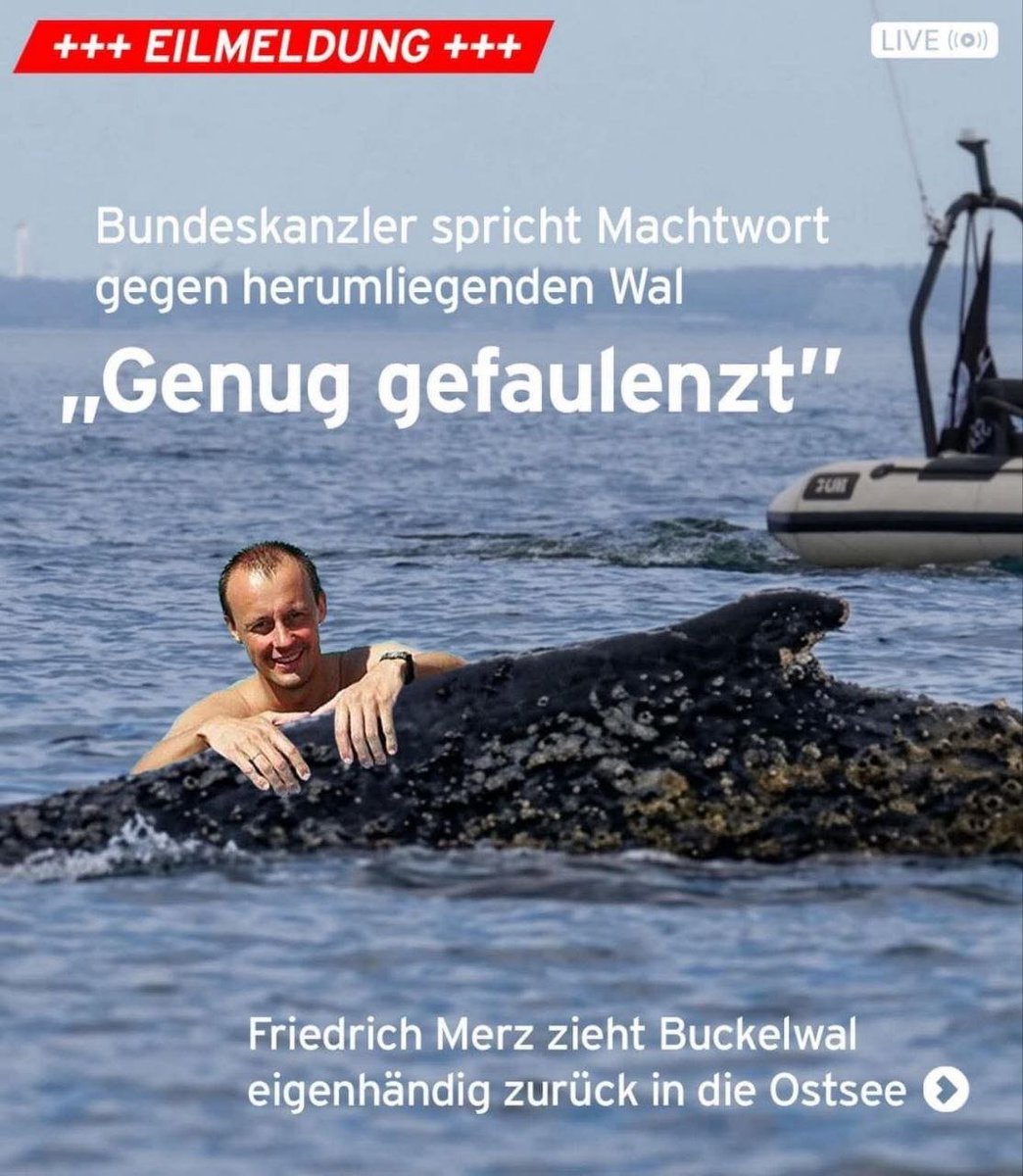 Cyan Radio RK ❌✌️ tweet media