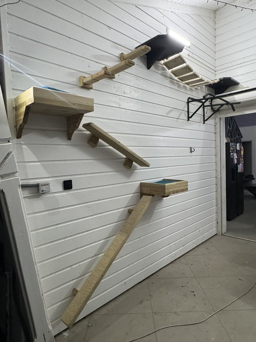 C i V o D u L tweet media