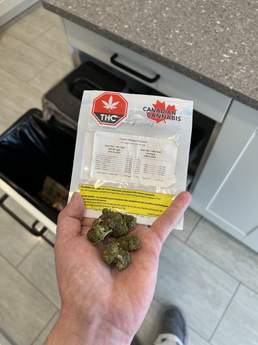 StonerDad 🇨🇦 tweet media
