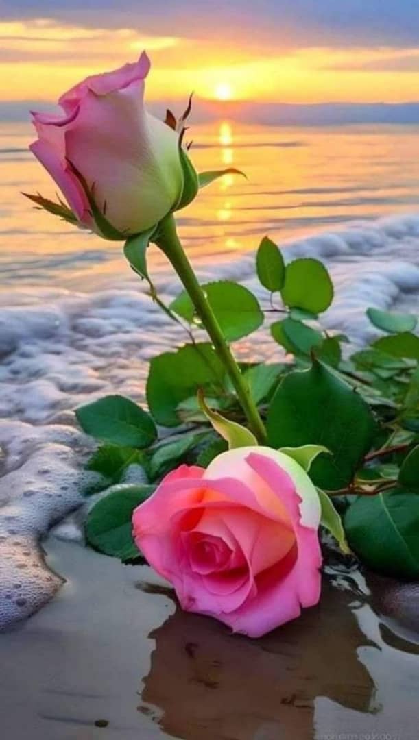 حط تم ينزل حسابك حسبات نشطه ترد المتابعة الان
#نشــــــــــــط_الآن #بدايـــــــــــــــہ 
<a href="/Shikha020282/">قمر البارودي</a> <a href="/2mhmadaly/">mhmadaly</a> <a href="/bunalimdayimki/">.</a> 
<a href="/AlsalhySal4562/">Salah Alsalhy</a> <a href="/AnorElool/">𝗔𝗻𝘄𝗿𝗔𝗹𝗶 𝗔𝗹-𝗢𝗺𝗿𝗶</a> 
<a href="/LKI89SUG/">محمد علي الغامدي. 🌟 مخضرم يتعلم</a> 
<a href="/Awlqi9/">المُهره العولقيه 🇾🇪</a> 
<a href="/SamirMoham26591/">Samir Mohammed</a> 
<a href="/sam_30s/">Salem Al.Dhafiri</a>   

<a href="/ahmadaljeaid/">خَرَبشات 🖋</a> 
<a href="/elgabry648/">Elgabry22</a> 
<a href="/DRAhmedMojahed1/">د.أحمد مجاهد</a> 

<a href="/rYaqwt76540/">ليت الماضي يعود</a>