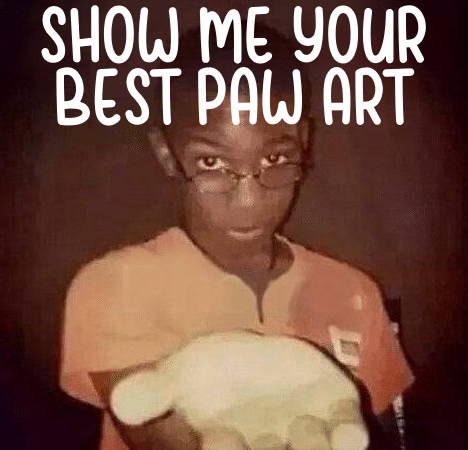 KiwiFizz tweet media