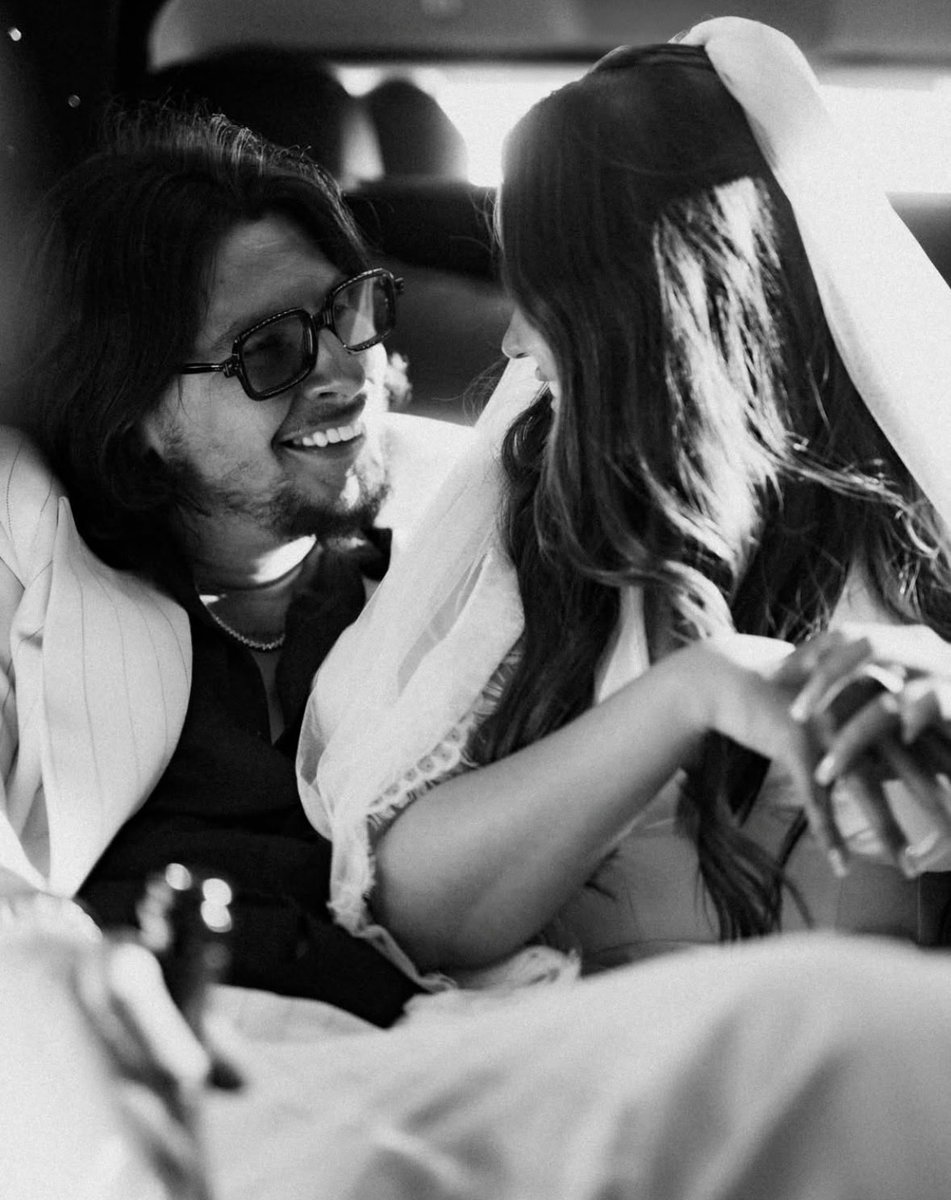 TurtleHype tweet media