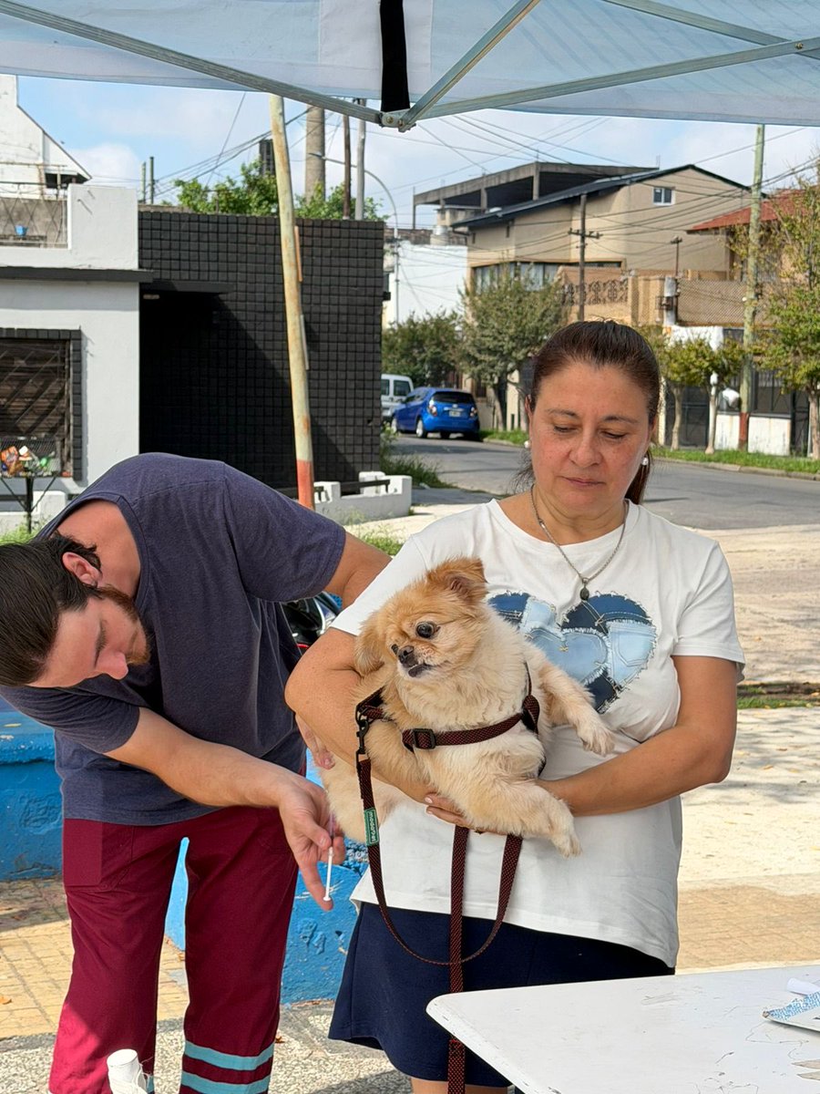 FPLanusHCD's tweet photo. Participamos del Operativo Territorial “Lanús Tu Gobierno” en la Plaza Concordia Valentín Alsina.
Acercamos el @hcdlanus a los vecinos y vecinas para escuchar sus ideas y propuestas para mejorar el barrio con el objetivo de construir entre todos y todas 

#LaCiudadQueNosMerecemos https://t.co/2JcJhm9XJC