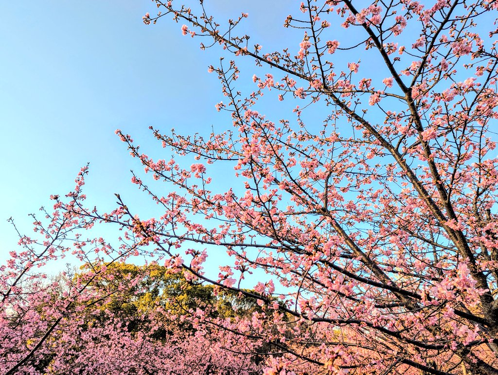 +++ ニア +++ -❦➛ tweet media