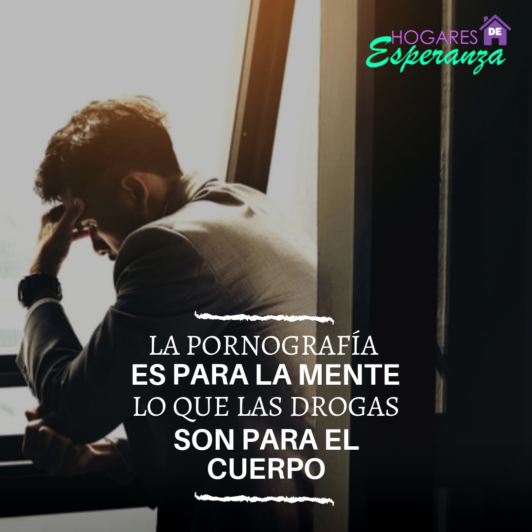 Food Nutrition Bio tweet media