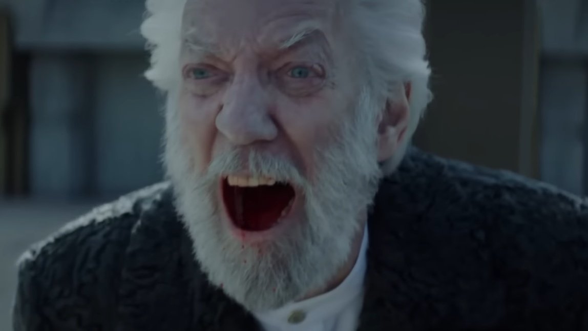 lune • hayffie brainrot since 2023 tweet media