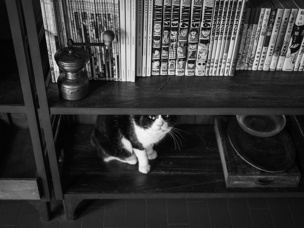 横山ケン tweet media