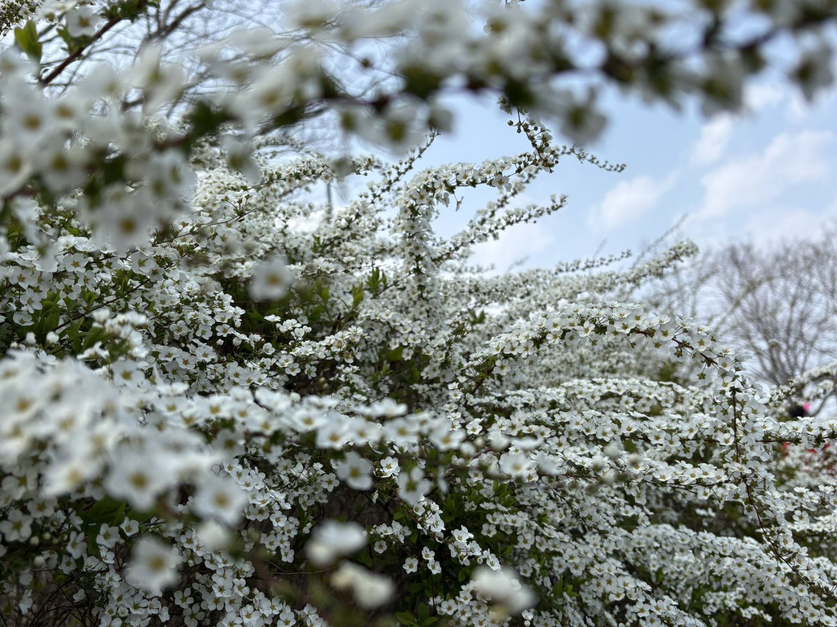 黒猫ノア🐈‍⬛ tweet media