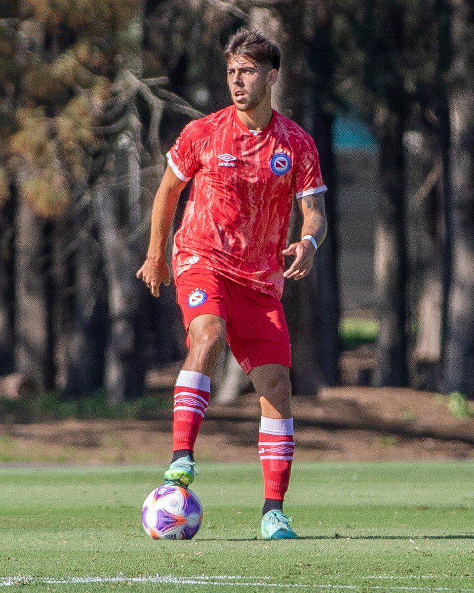 Momentos del bicho tweet media