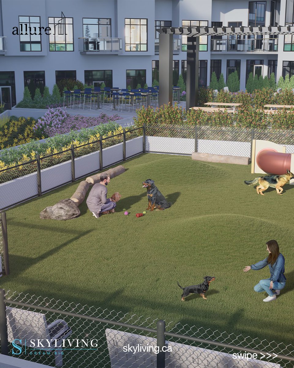 Allure Ventures Inc. tweet media